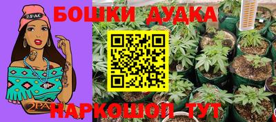 гидропоника Канаш