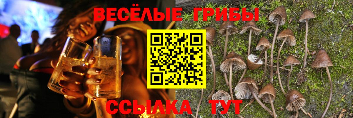 Электрогорск  Псилоцибиновые грибы Cubensis  Вход с VPN  Галлюциногенные грибы Magic Shrooms 